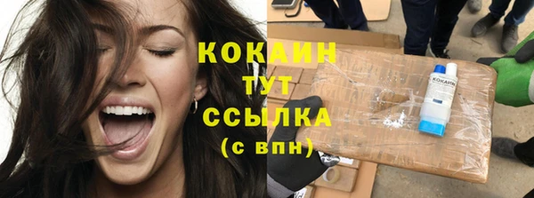 ПСИЛОЦИБИНОВЫЕ ГРИБЫ Абаза