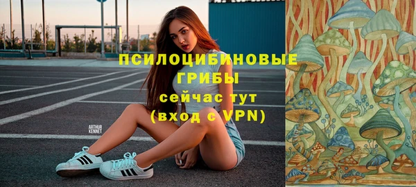 соль ск Абдулино